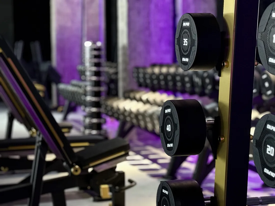Гантельный ряд ICON Fitness