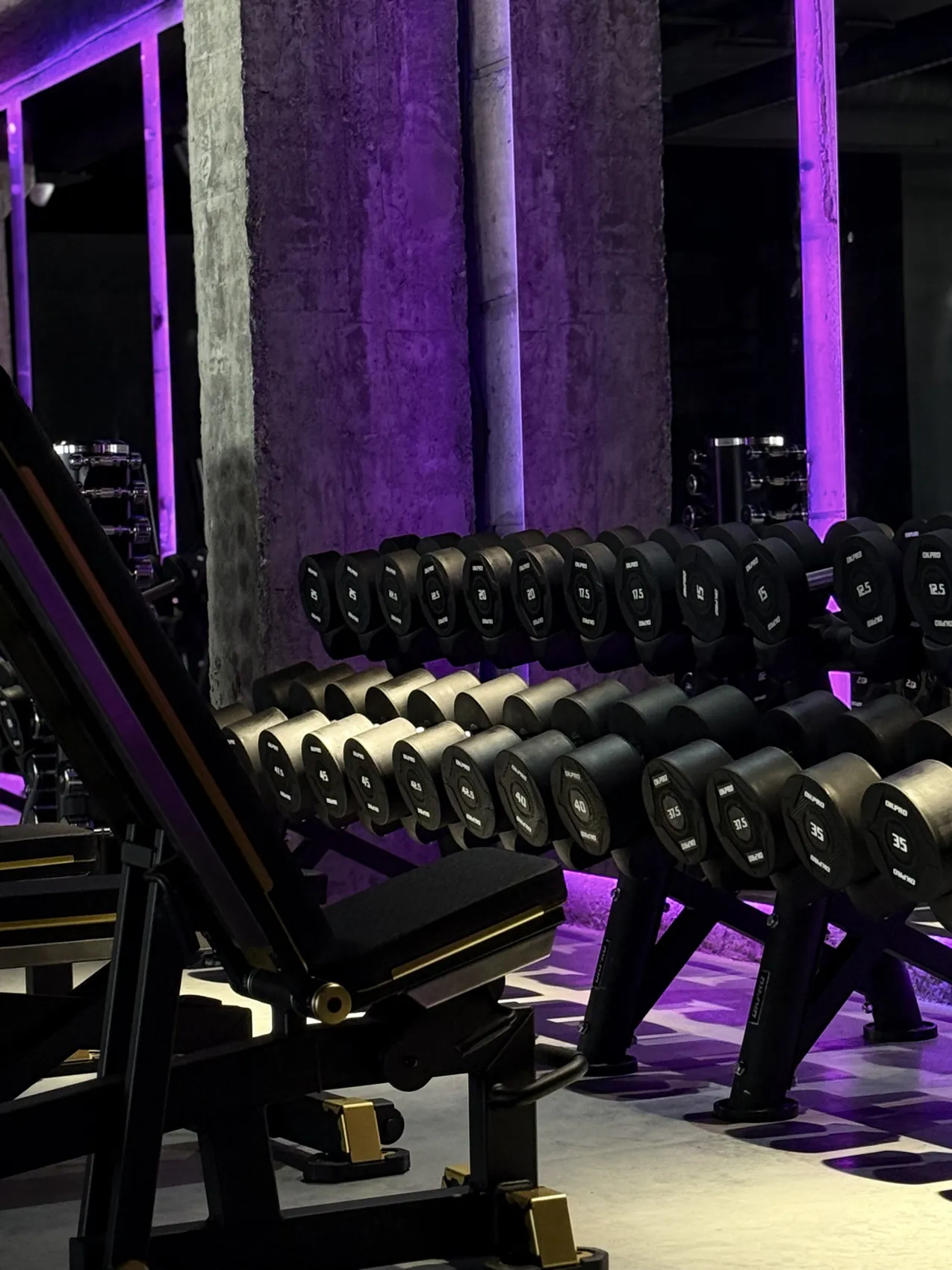 Гантельный ряд и скамьи в ICON Fitness